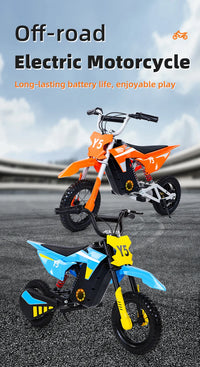 HKM-748435 Electric Off-Road Mini Motorcycle for Kids - 250W Motor, Max Speed 23 km/h, Steel & ABS Construction