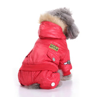 HKM-7486013 Stylish Four-Legged Dog Apparel in Polyester - Perfect for Your Furry Friend