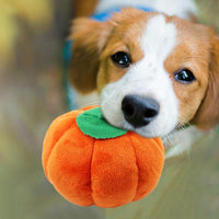 HKM-7487293 Interactive Plush Dog Chew Toy Set - 15 Soft Fruit and Cartoon Designs for Pets