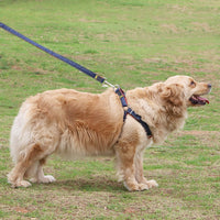 HKM-7489085 Red, Blue, Pink, or Black Dog Leash Set for Front & Back Traction - Denim Material - Includes Collar