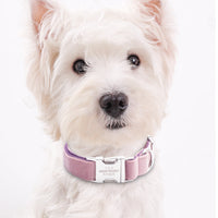 HKM-7489597 Pink and Purple Adjustable Dog Collar, Comfortable Fit for Small to Medium Dogs