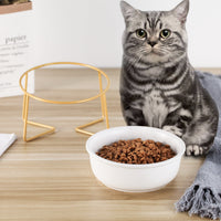 HKM-7493565 Tilted Ceramic Cat Bowl with Stainless Steel Base - Modern Design for Elevated Feeding
