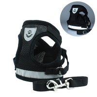HKM-7498941 Breathable Mesh Pet Car Seat Belt Leash for Safe Walks in Any Weather
