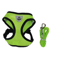 HKM-7498941 Breathable Mesh Pet Car Seat Belt Leash for Safe Walks in Any Weather