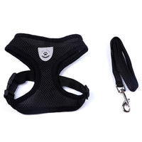 HKM-7498941 Breathable Mesh Pet Car Seat Belt Leash for Safe Walks in Any Weather