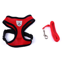 HKM-7498941 Breathable Mesh Pet Car Seat Belt Leash for Safe Walks in Any Weather