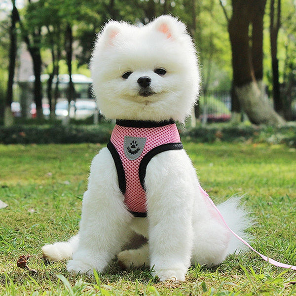 HKM-7498941 Breathable Mesh Pet Car Seat Belt Leash for Safe Walks in Any Weather