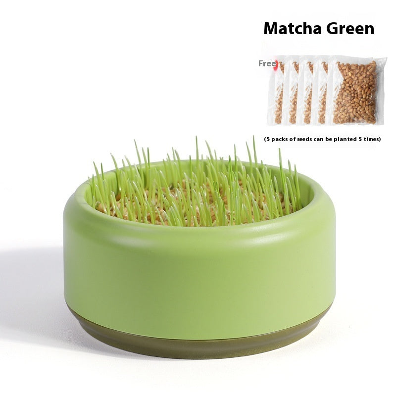 HKM-7499197 Hydroponic Cat Grass Kit with 5 Seed Packs and Cup - Potted Soilless Variety