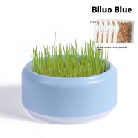 HKM-7499197 Hydroponic Cat Grass Kit with 5 Seed Packs and Cup - Potted Soilless Variety
