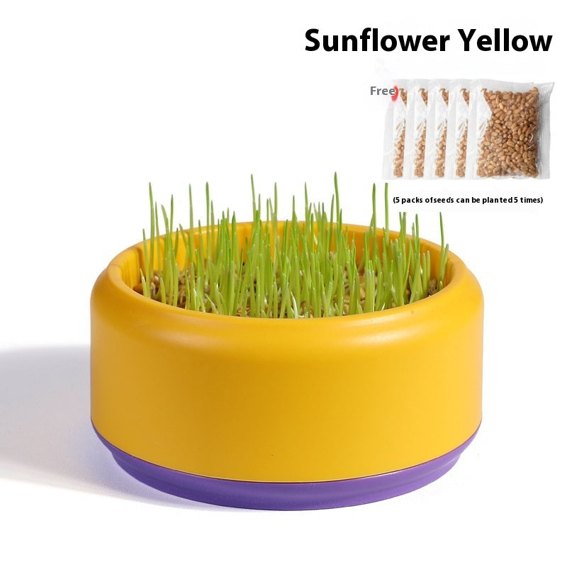 HKM-7499197 Hydroponic Cat Grass Kit with 5 Seed Packs and Cup - Potted Soilless Variety