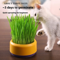 HKM-7499197 Hydroponic Cat Grass Kit with 5 Seed Packs and Cup - Potted Soilless Variety