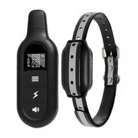 HKM-7502397 Remote Control Dog Trainer with Vibration and Shock Function, ABS Material Collar