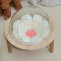 HKM-7503165 Transparent Space Capsule Cat Nest Sphere - Cozy Plastic Bed for Cats with 30cm Diameter