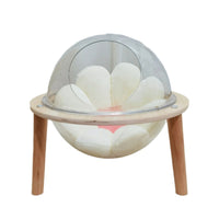 HKM-7503165 Transparent Space Capsule Cat Nest Sphere - Cozy Plastic Bed for Cats with 30cm Diameter