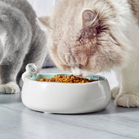 HKM-7510845 Sakura Ceramic Cat Bowl in Pink and Green ¨C 200g Grain & 300ml Water Capacity, Hand-Glazed Design