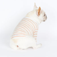 HKM-7513021 Cozy Cotton French Bulldog Clothes - Size Adjustable Pet Apparel
