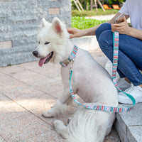 HKM-7516477 Customizable Cloth Dog Collar with Print for Cats and Dogs - Casual Style