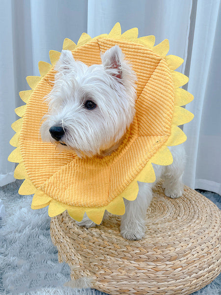 HKM-7518781 Soft Anti-Licking Headgear for Small and Medium Dogs - Sunflower Design, Size S/M