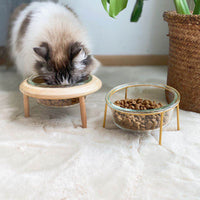 HKM-7520573 Elegant Glass and Beech Pet Bowl - Available in Large (800ml) and Small (480ml) for Cats and Dogs