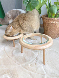 HKM-7520573 Elegant Glass and Beech Pet Bowl - Available in Large (800ml) and Small (480ml) for Cats and Dogs