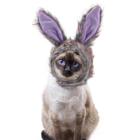 HKM-7520957 Adorable Sunflower Cat Headdress Wig for Pets - Cute Dress-Up Hat for Halloween and Seasonal Celebrations