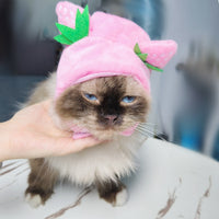 HKM-7520957 Adorable Sunflower Cat Headdress Wig for Pets - Cute Dress-Up Hat for Halloween and Seasonal Celebrations