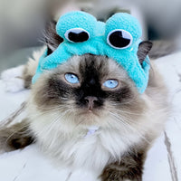 HKM-7520957 Adorable Sunflower Cat Headdress Wig for Pets - Cute Dress-Up Hat for Halloween and Seasonal Celebrations