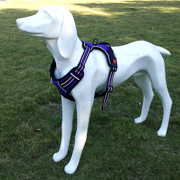 HKM-7525437 Adjustable Oxford Cloth Dog Chest Harness with Leash in Black, Purple, and Orange