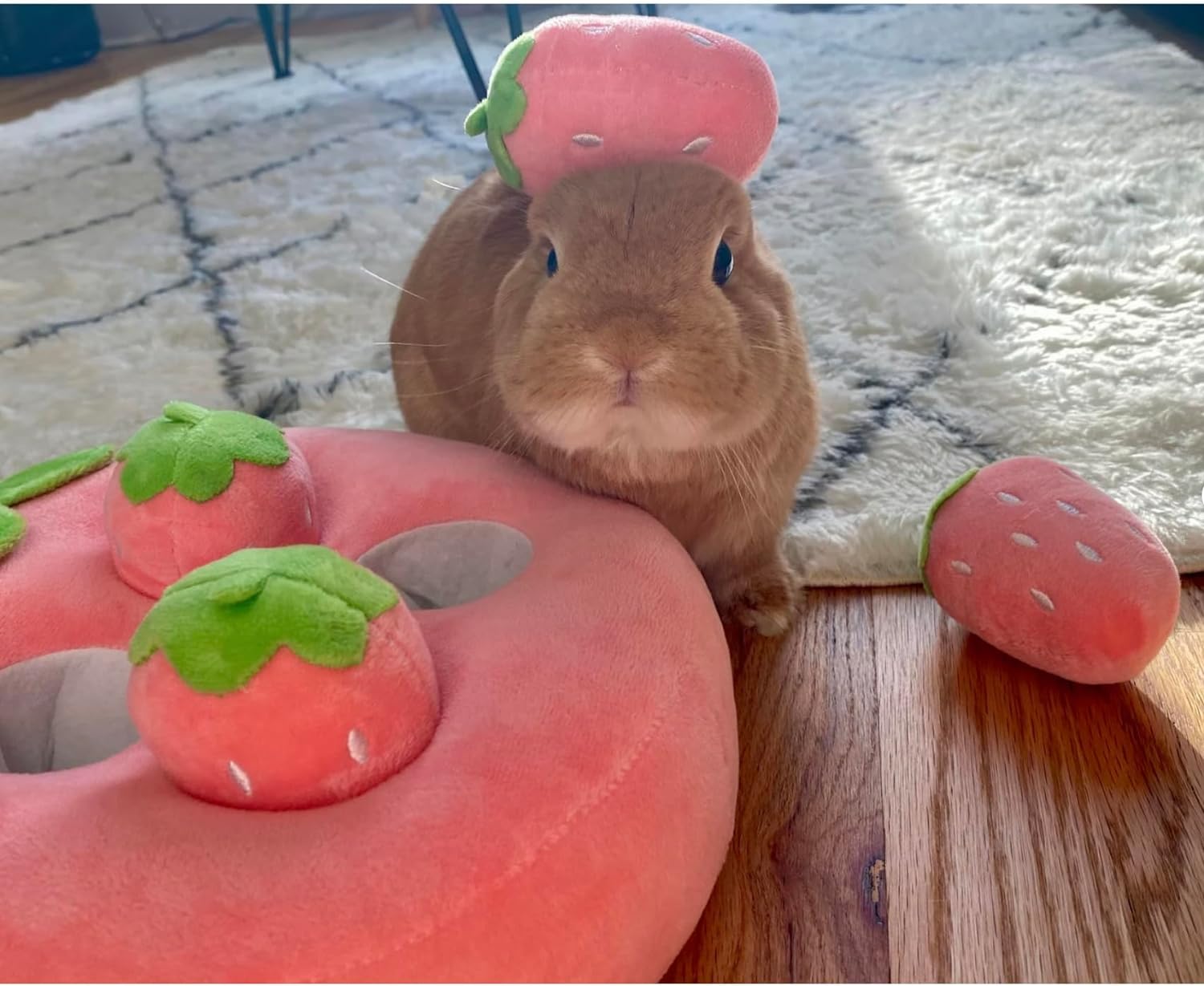 HKM-7527613 Interactive Plush Strawberry Snuffle Mat for Dogs, Bunnies, and Guinea Pigs - Feed, Entertain, and Stimulate