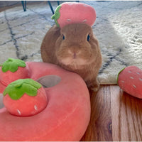 HKM-7527613 Interactive Plush Strawberry Snuffle Mat for Dogs, Bunnies, and Guinea Pigs - Feed, Entertain, and Stimulate