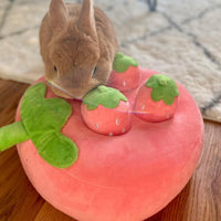 HKM-7527613 Interactive Plush Strawberry Snuffle Mat for Dogs, Bunnies, and Guinea Pigs - Feed, Entertain, and Stimulate
