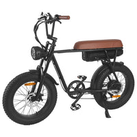 HKM-752787 750W/1000W Electric Fat Tire Mountain Bike with 7-Speed Gears and 48V Lithium Battery