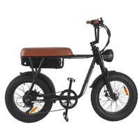HKM-752787 750W/1000W Electric Fat Tire Mountain Bike with 7-Speed Gears and 48V Lithium Battery