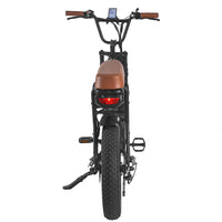 HKM-752787 750W/1000W Electric Fat Tire Mountain Bike with 7-Speed Gears and 48V Lithium Battery