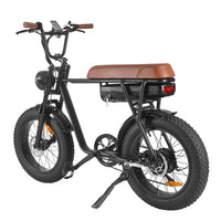 HKM-752787 750W/1000W Electric Fat Tire Mountain Bike with 7-Speed Gears and 48V Lithium Battery
