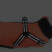 HKM-7530557 Warm Cotton-Padded Dog Coat for Autumn and Winter in Blue, Orange, and Gray - Multiple Sizes Available