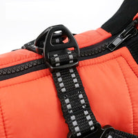 HKM-7530557 Warm Cotton-Padded Dog Coat for Autumn and Winter in Blue, Orange, and Gray - Multiple Sizes Available