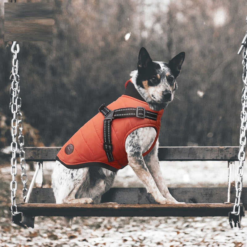 HKM-7530557 Warm Cotton-Padded Dog Coat for Autumn and Winter in Blue, Orange, and Gray - Multiple Sizes Available