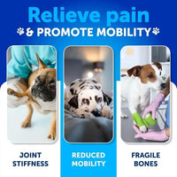 HKM-7531965 Hemp Infused Hip and Joint Support Chews for Dogs - Glucosamine, Chondroitin, Turmeric, Duck Flavor
