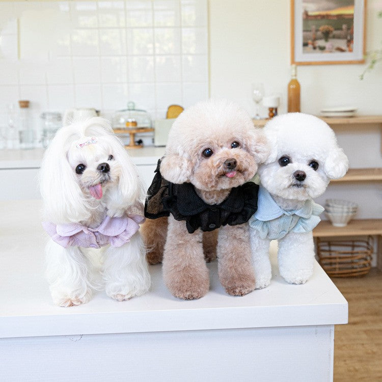 HKM-7534269 Pet Clothes in Pink Purple & Mint Black - Sizes 2XS to 3XL
