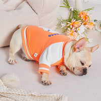HKM-7538237 Casual Cotton Baseball Suit for Small Dogs in Orange - Teddy Bugs Law Design, Available in Multiple Sizes