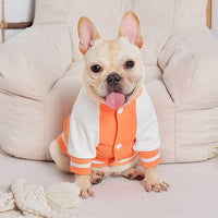HKM-7538237 Casual Cotton Baseball Suit for Small Dogs in Orange - Teddy Bugs Law Design, Available in Multiple Sizes