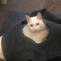 HKM-7538493 Cat Hole Blanket in Gray/Blue - Flame Retardant Polyester with Alloy Accents