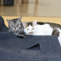 HKM-7538493 Cat Hole Blanket in Gray/Blue - Flame Retardant Polyester with Alloy Accents