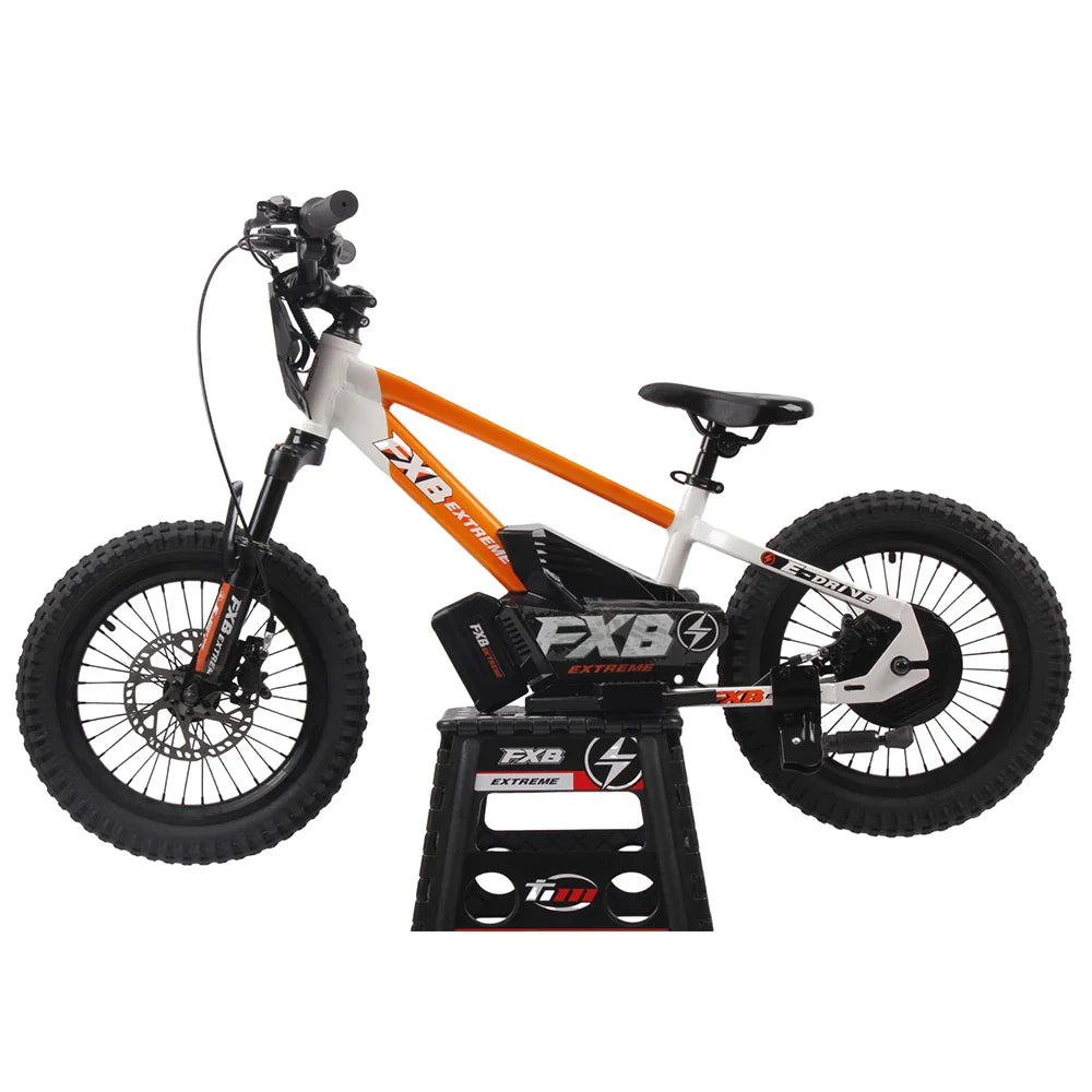 HKM-753875 16-Inch Aluminum Electric Balance Bike for Kids with 400W Motor and 36V 5Ah Battery