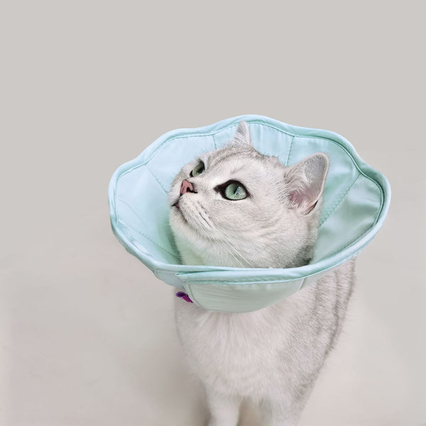 HKM-7539645 Pink and Green Pet Postoperative Wound Collar - Anti-Scratch and Licking, 1 Size S/M/L/XL