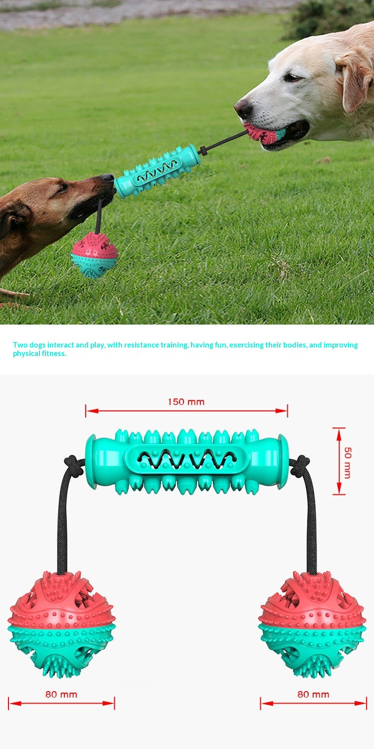 HKM-7540285 Durable TPR Chew Stick for Dogs - Teeth Cleaning Dumbbell Design in Red, Blue, and Green