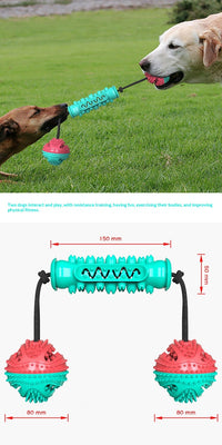 HKM-7540285 Durable TPR Chew Stick for Dogs - Teeth Cleaning Dumbbell Design in Red, Blue, and Green