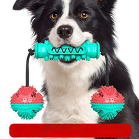 HKM-7540285 Durable TPR Chew Stick for Dogs - Teeth Cleaning Dumbbell Design in Red, Blue, and Green