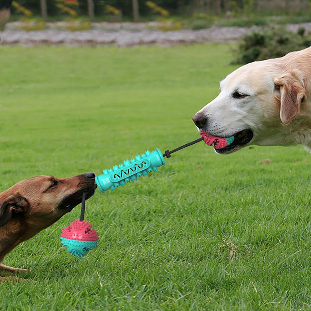 HKM-7540285 Durable TPR Chew Stick for Dogs - Teeth Cleaning Dumbbell Design in Red, Blue, and Green
